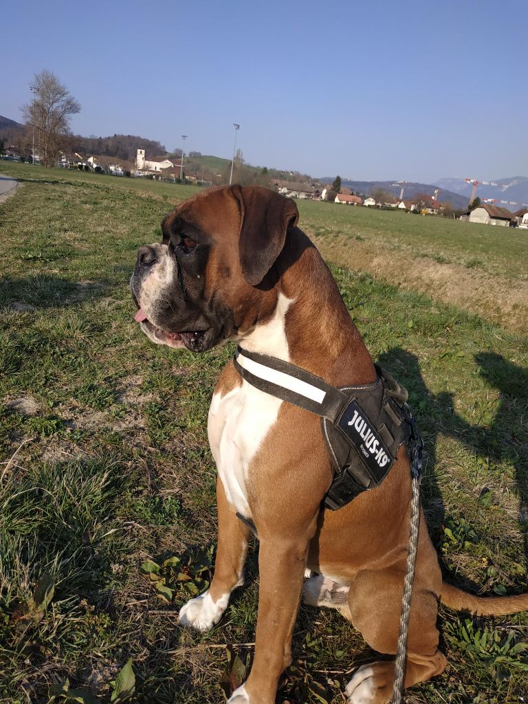 Ribellu Di Un Soffiu Di Libertà